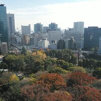 部屋からの芝公園の紅葉