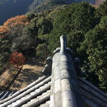 展示からの屋根