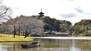 京都や鎌倉を思わせる　四季を通じ花の美しい庭園