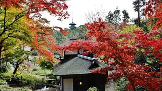 複雑な構造の建築が映える　三渓園随一の紅葉スポット