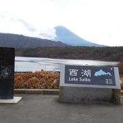 西湖から眺める富士山