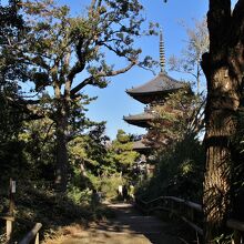 遊歩道で丘に登ると、徐々に三重塔が姿を現す