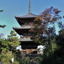 三重塔の全景