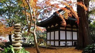 黄葉の絨毯が見事