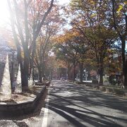 大國魂神社の北側で北に延びています。