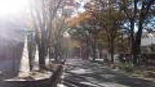 大國魂神社の北側で北に延びています。