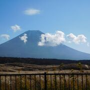 富士山麓のビュースポット