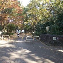 公園の様子です。