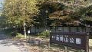 小高い丘の公園です。