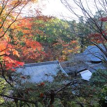 裏山からの眺め