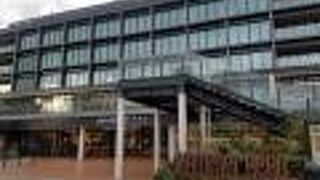 ハンマーヘッドクレーン