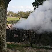 公園の中に大量の湯けむり。とり天を食べながら足岩盤浴