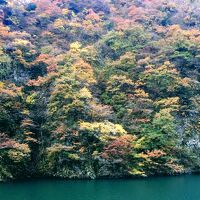 桜のお部屋から見た庄川対岸です。