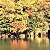 庄川峡遊覧船から見た水面の紅葉が輝いていました。