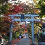 紅葉で有名な修学院の氏神様