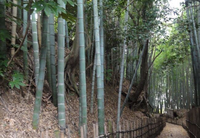 サムライの古径ひよどり坂 クチコミ アクセス 営業時間 佐倉 四街道 フォートラベル サムライの古径ひよどり坂 クチコミ アクセス 営業時間 佐倉 四街道 フォートラベル