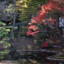 庭園の紅葉