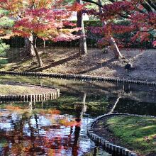 水面に映える紅葉