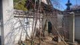 文豪川口松太郎の名作「愛染かつら」