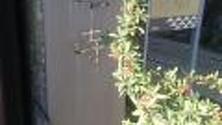 住宅街の静かな寺院