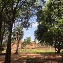 広大な敷地です