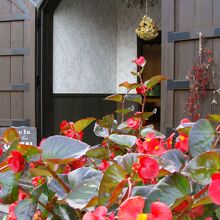入口にはベゴニアの花がいっぱい