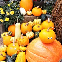 実にユニークで好い感じ！