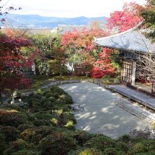 庭園を見下ろしたところ