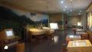 室堂周辺の情報収集と動植物の展示