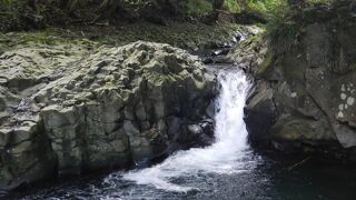 天城連山より流れる清流がつくった個性溢れる七つの滝が河津七滝です。