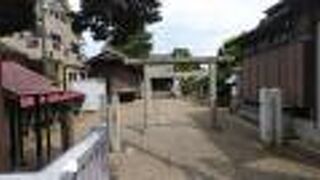 ミニ富士山を登頂することができた。