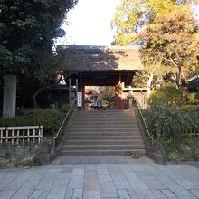 全体の様子です。