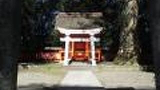 １つのお社を共用されています。