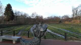 無料で、見所も多いです。