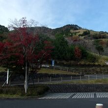 国道脇の道の駅駐車場から、丘全体に神話の里施設が広がる。