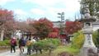 無料でこれだけの紅葉が楽しめるのはここだけ