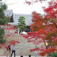 参道の紅葉