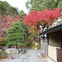 紫雲の庭