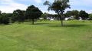 スポーツ施設が充実した公園