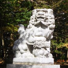狛犬さま