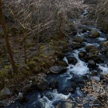 竹林しかない山奥なので、誰もいません。