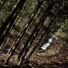 日光市街地のすぐ近くとは思えない光景です。