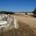 島の自然関連