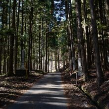 国道から歩くと30分ずっと登り坂。車かタクシー利用が無難。