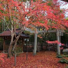 境内の紅葉