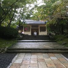 正面からの写真