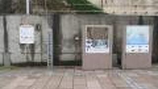 地元の人はバナナ食べ放題だった？