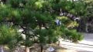 おみくじがカワイイ！