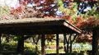 モミジのある東屋やSL車両のそばのイチョウなど絵になる風景が多い