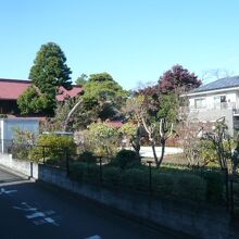 能面美術館の門を入ると、手入れがなされている庭があります。